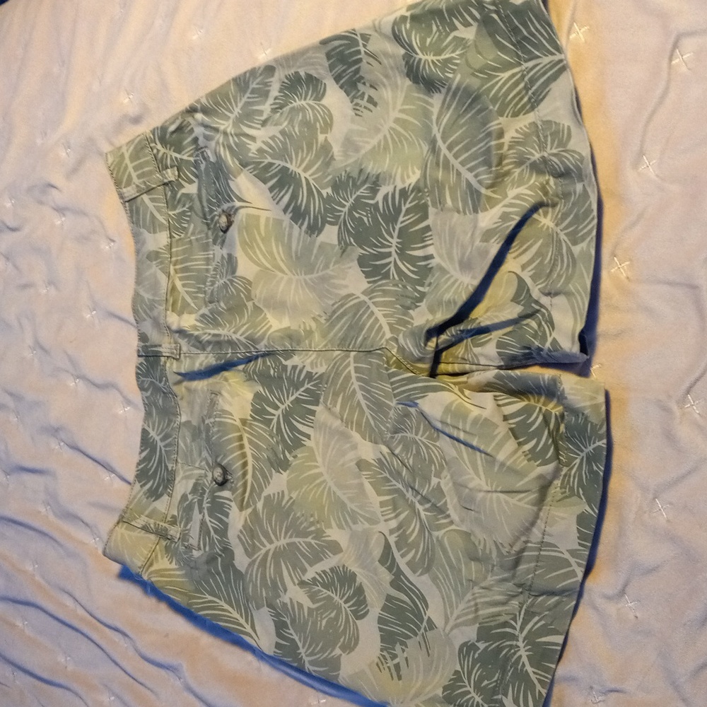 Shorts - Picture 4 of 4